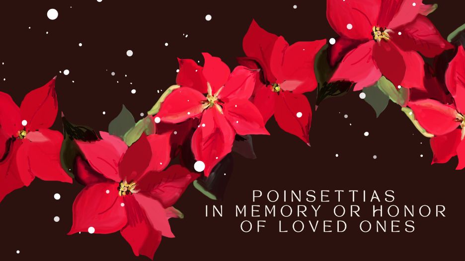 Poinsettias at MPC

Order your poinsettia in honor or memory of a loved one.

Get all the details here. 
